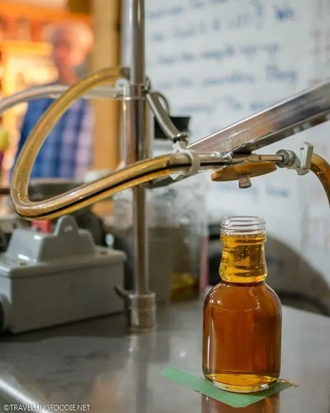 Maple syrup bottling at Richardson's Farm and Market in Dunnville, Haldimand County, Ontario