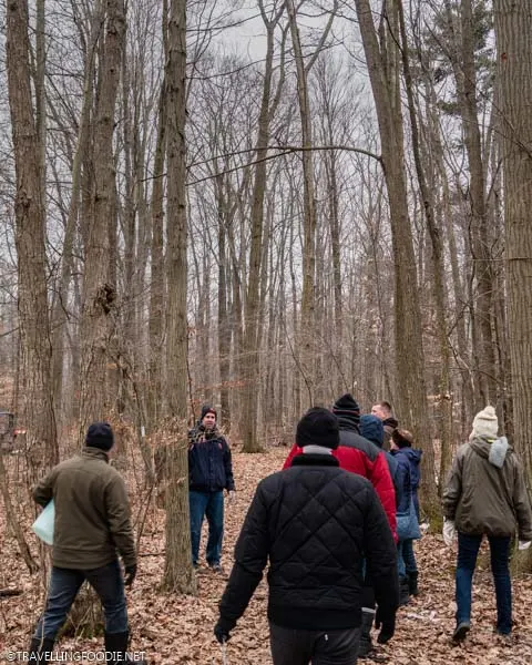 James teaching about maple trees at Richardson's Farm and Market in Dunnville, Haldimand County, Ontario