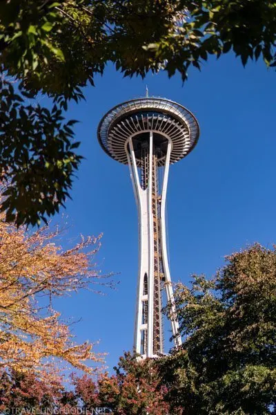 Fall-framing Space Needle in Seattle, Washington