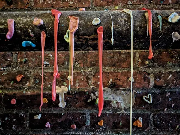 Long strands of gum on Gum Wall in Seattle, Washington