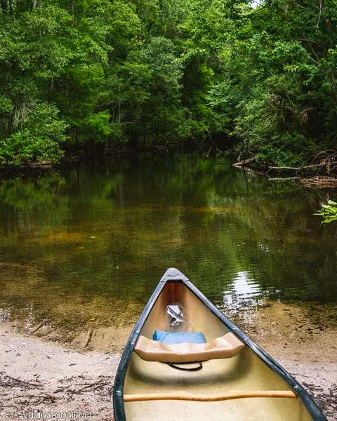 Canoe Escape at Hillsborough River in Tampa Bay, Florida