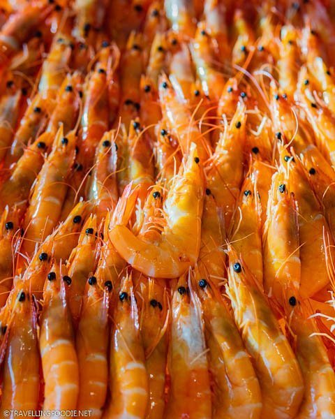 Shrimps from The Carvery at Park Hotel Alexandra in Singapore