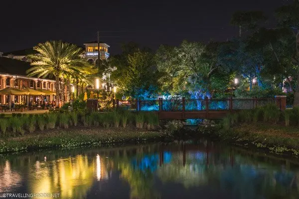 Ulele Springs at Night along Tampa Riverwalk, Florida