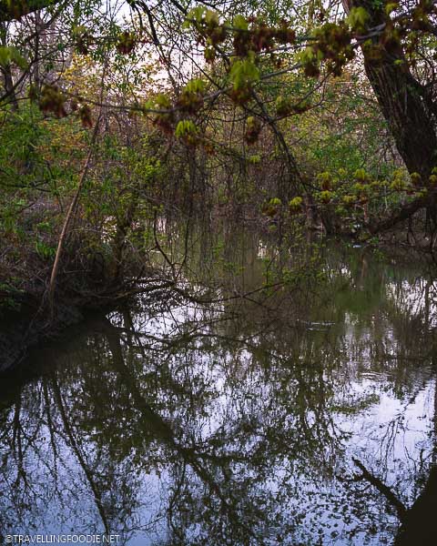 River at Alexandra Park in Strathroy, Ontario