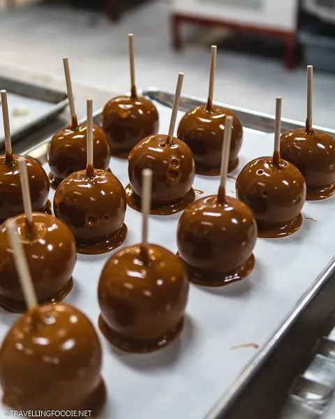 Chocolate Dipped Apples at Angell and Phelps Chocolate Factory in Daytona Beach