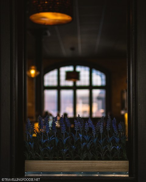 Flowers at Clock Tower Bistro in Strathroy, Ontario