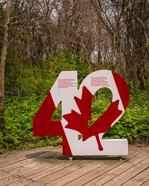 42nd Parallel Sign at Point Pelee National Park in Leamington, Ontario
