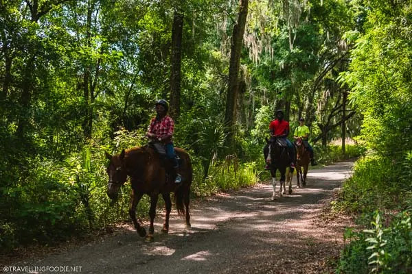 Horseback Riding Tour at The Canyons Zip Line in Ocala, Florida