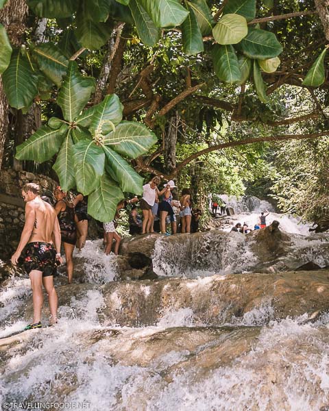 People climbing Dunn's River Falls from the base of the falls