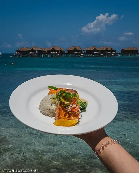 Miso Glazed Salmon at Regency Restaurant in Sandals Royal Caribbean