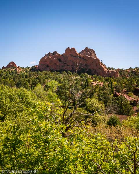 Trees and Rock Formation at Garden of the Gods Park in Colorado Springs