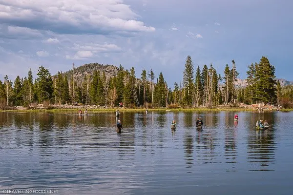 Ten People fly fishing at Sprague Lake in Rocky Mountain National Park, USA