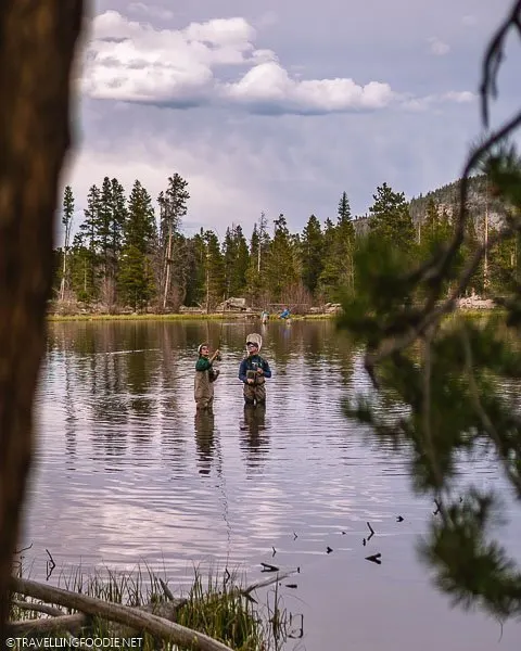 Woman trying to fly fish at Sprague Lake in Rocky Mountain National Park Colorado