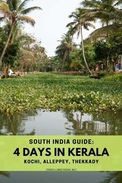 South India Guide: 4 Days in Kerala including Kochi, Alleppey, Thekkady