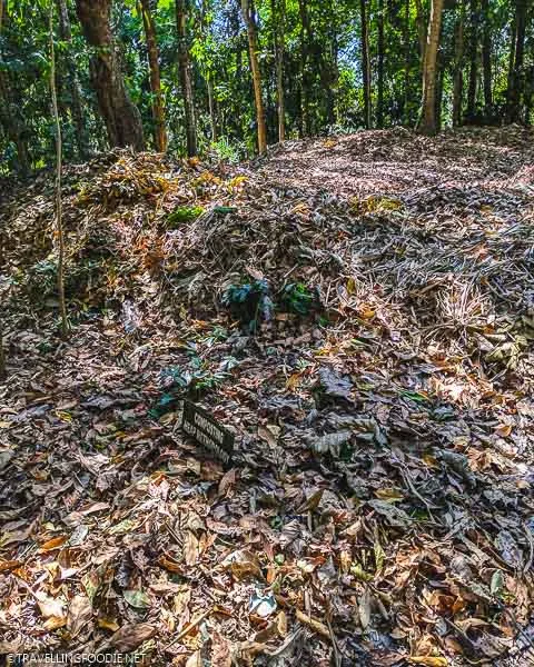 Heap Composting at Spice Village Resort in Thekkady