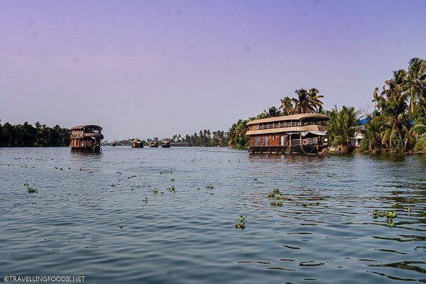 House Boats sailing away in Alleppey, India