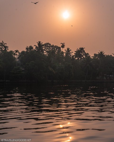 Sunrise from Xandari Riverscapes Houseboat in Alleppey