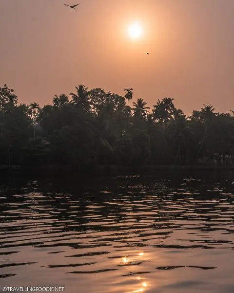 Sunrise from Xandari Riverscapes Houseboat in Alleppey