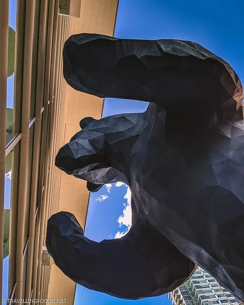 Looking up to see Big Blue Bear Sculpture at Colorado Convention Center in Denver