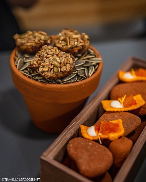 Sunchoke Skin with Sunflower Condiment
