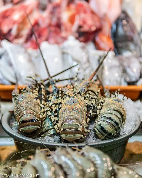 Live Lobsters at Seascape Village Wetmarket in Manila