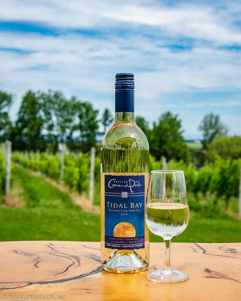 Tidal Bay Wine 2018 by the vineyards at Domaine Grand Pre Vineyards