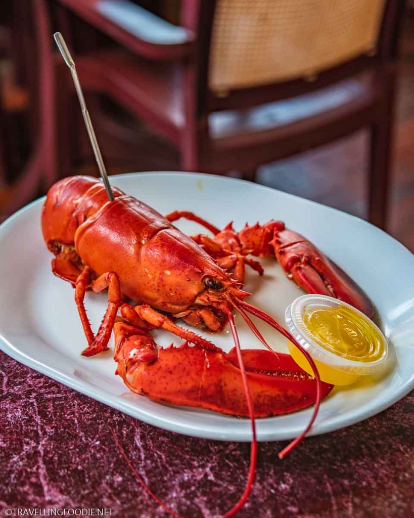One Plate of Boiled Lobster with Butter at Halls Harbour Lobster Pound in Nova Scotia