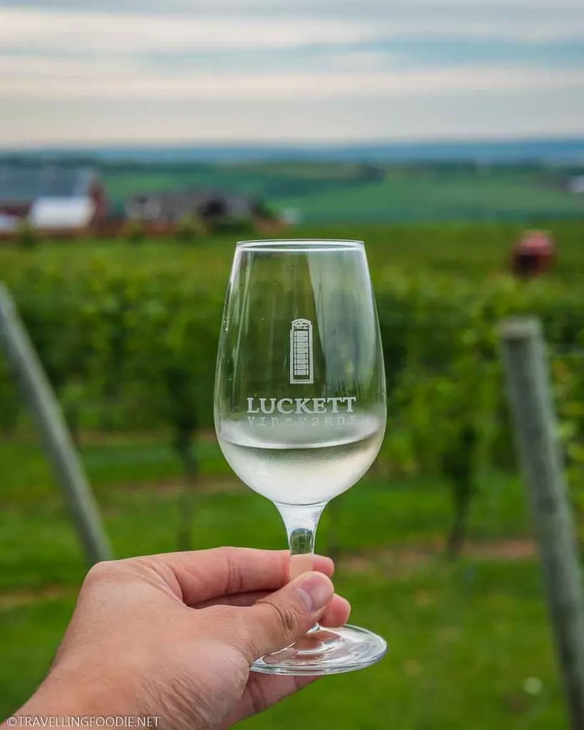 Holding Wine Glass in the Vineyards at Luckett Vineyards in Wolfville, Nova Scotia