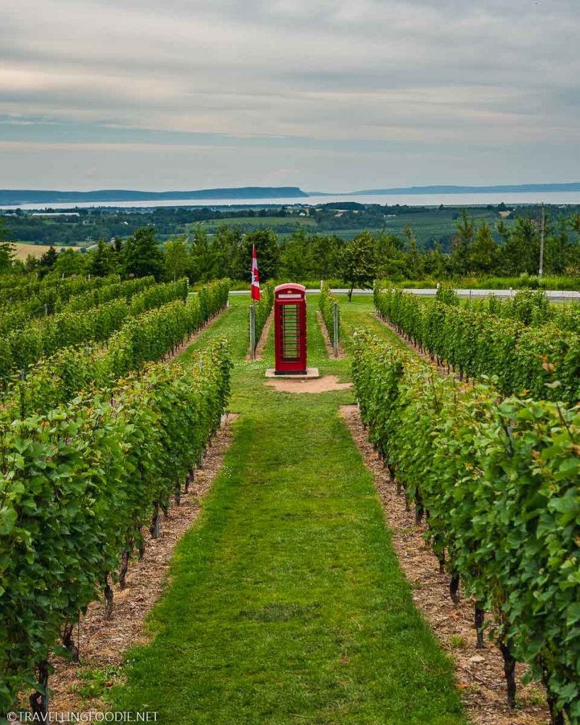 British Red Phone Booth at Luckett Vineyards in Wolfville, Nova Scotia