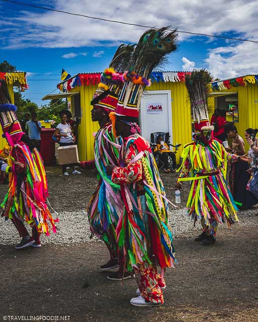 St. Croix Carnival Costume