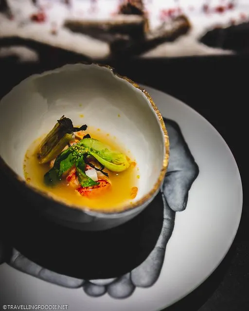 Poached Lobster at L'Atelier de Joel Robuchon for Montreal en Lumiere 2020 Tasting Menu