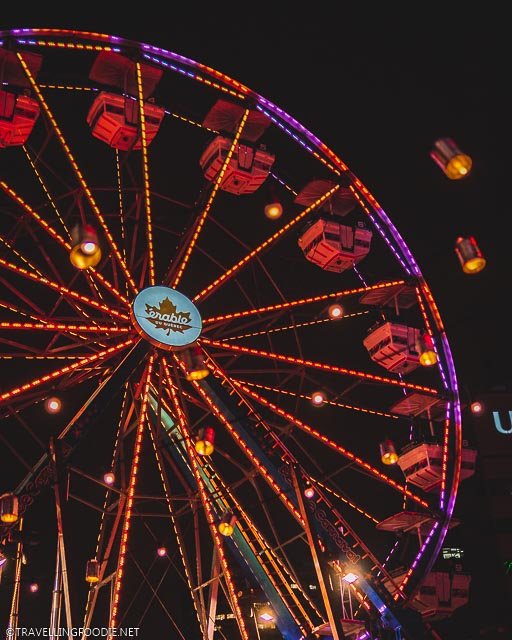 Quebec Ferris Wheel with Floating Lights at Montreal en Lumiere
