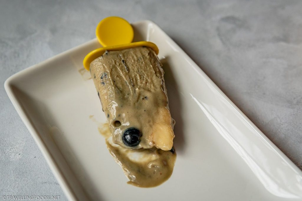 Chunks of Blueberry and Banana on Creamy Popsicle