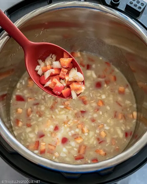 Chopped Tomato and Onions on Ladle