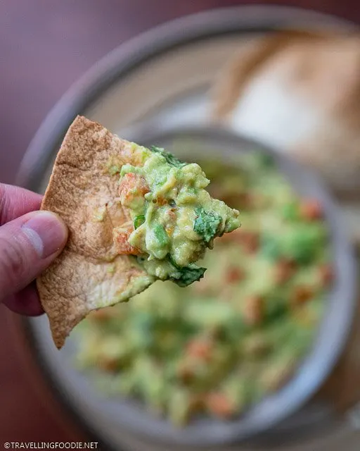 Guacamole on Toasted Tortilla Chip