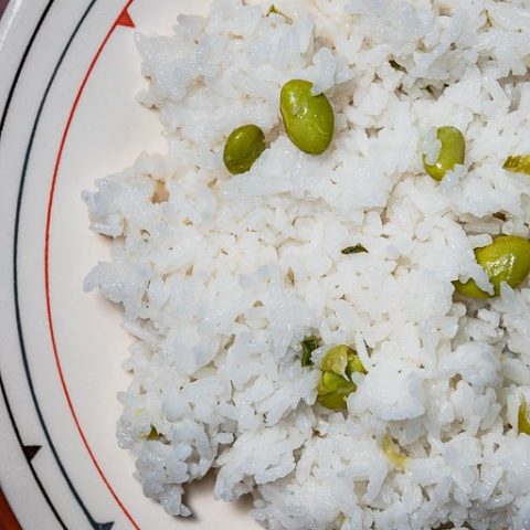 Instant Pot Jasmine Rice with Edamame and Green Onions on a Plate