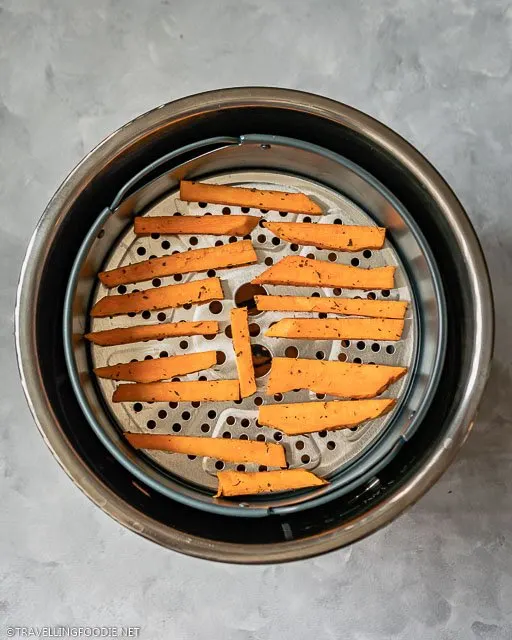 Seasoned Sweet Potato Sticks on Instant Pot Duo Crisp + Air Fryer