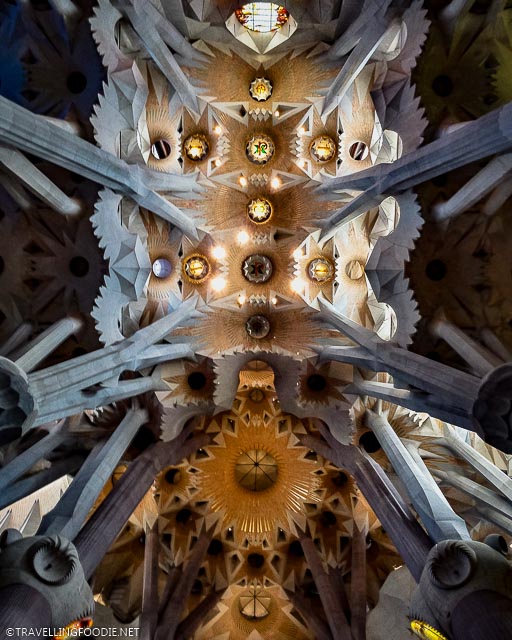 The ceiling at La Sagrada Familia in Barcelona, Spain