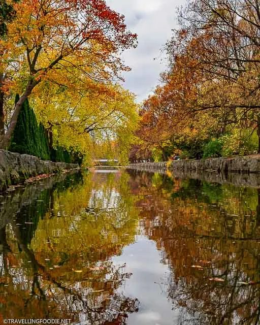 Avon River fall foliage reflections at the Shakespearean Gardens in Stratford, Ontario