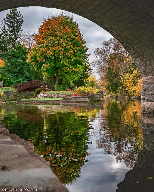 Framing the Shakespearean Gardens Mini Island under Ontario's oldest double-arch stone bridge in Stratford