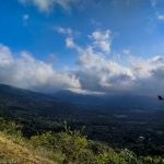 Sunny with Clouds and Bird at Shenandoah National Park, Virginia