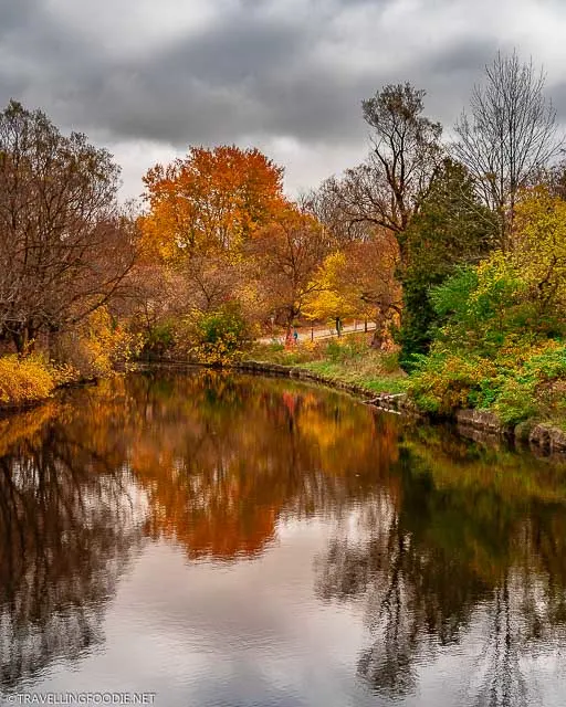 Avon River fall reflections at TJ Dolan Natural Area in Stratford, Ontario