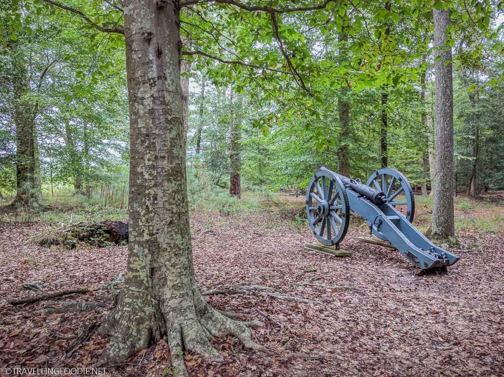 One Artillery Cannon at Yorktown Battlefield Colonial National Historical Park, Virginia in Fall