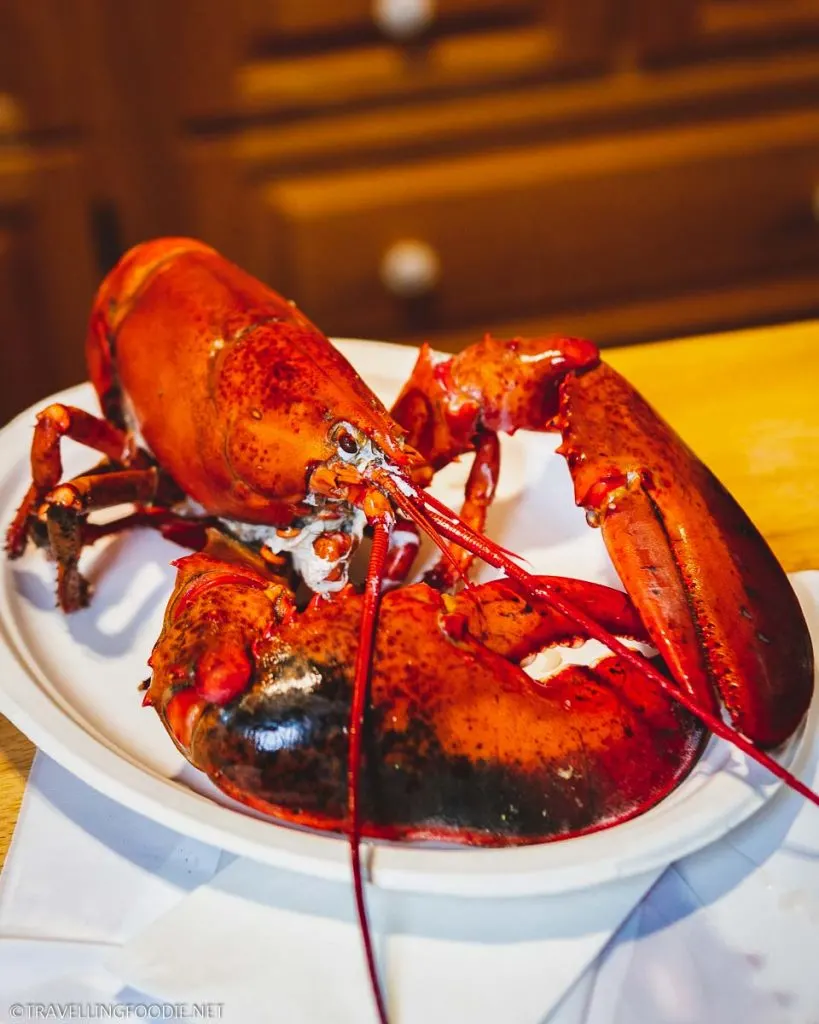 Steamed Lobster at Breakwater Inn in Peggy's Cove, Nova Scotia