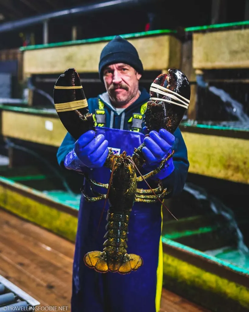 Man holding lobster at Ryer's Lobster Pound in Indian Harbour, Nova Scotia