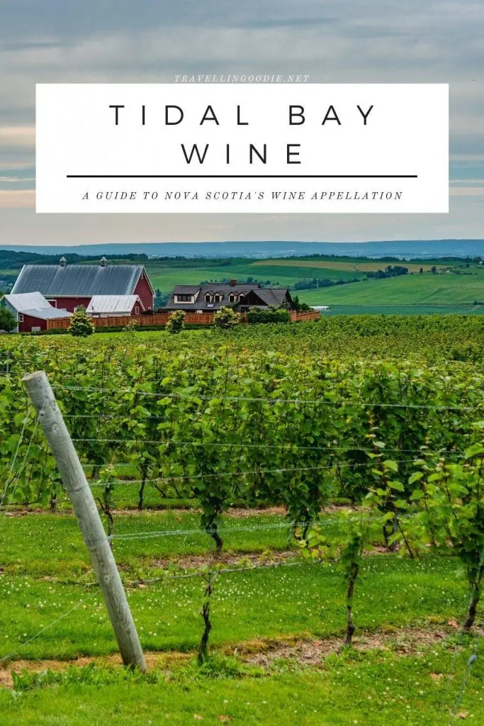 Tidal Bay Wine - A Guide to Nova Scotia's First Wine Appellation