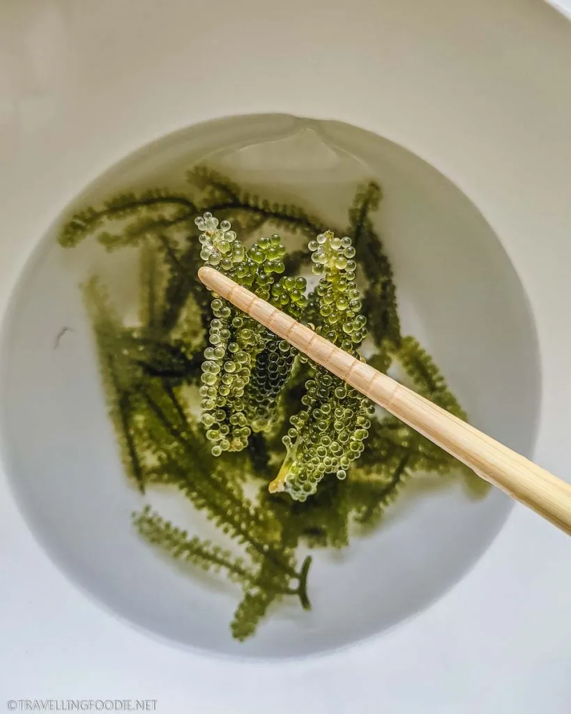 Umibudo Seaweed on chopsticks