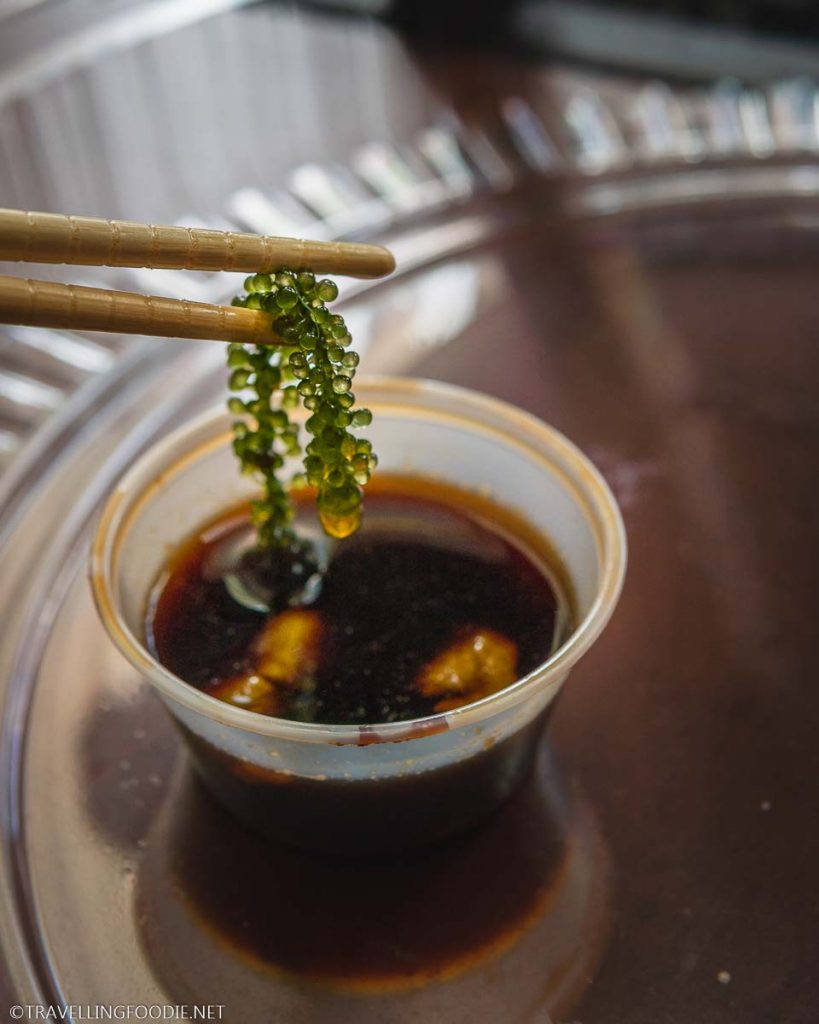 Umibudo Seaweed dipped in soy sauce with wasabi