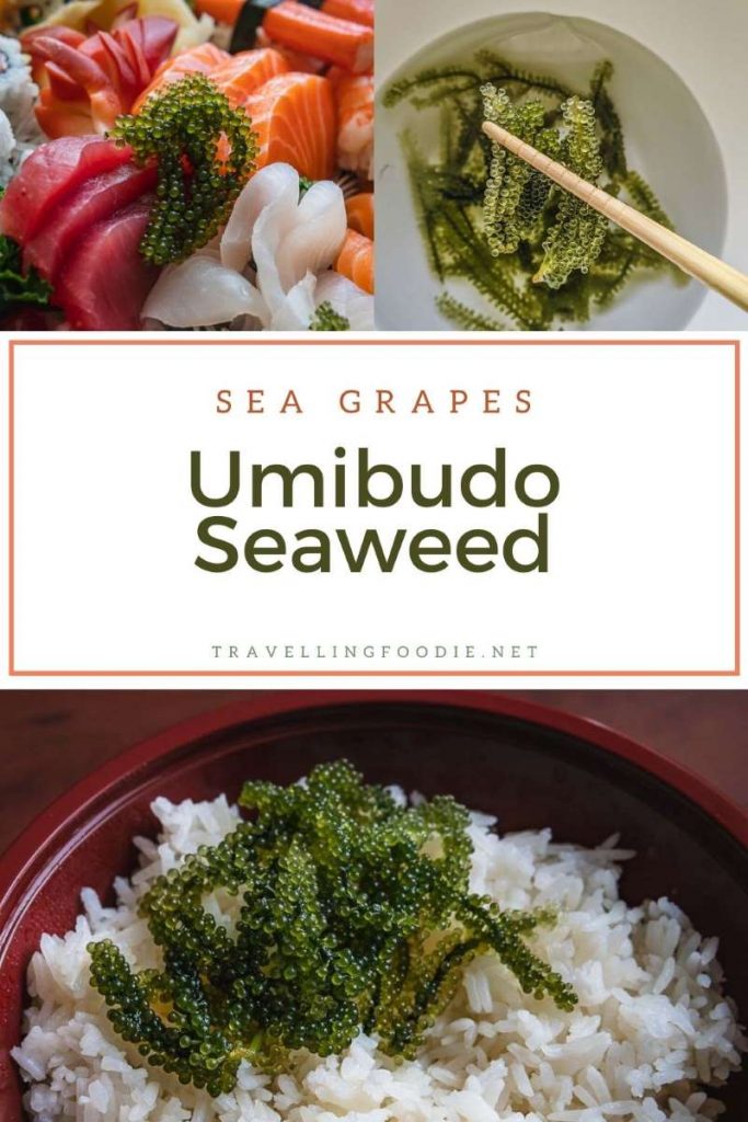 Sea Grapes - Umibudo Seaweed on TravellingFoodie.net