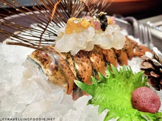 Live Lobster with sea urchin